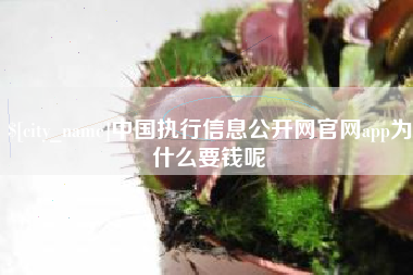 阳谷中国执行信息公开网官网app为什么要钱呢