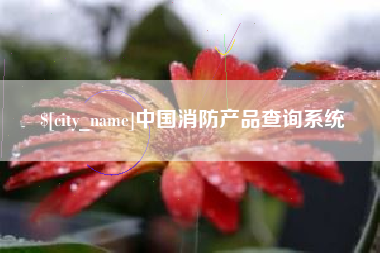 阳谷中国消防产品查询系统