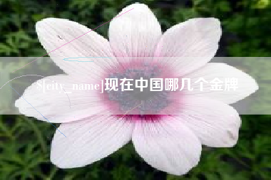 阳谷现在中国哪几个金牌
