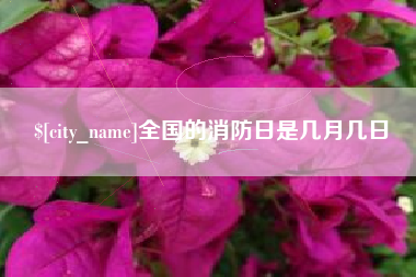 阳谷全国的消防日是几月几日