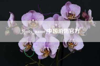 阳谷中国消防官方