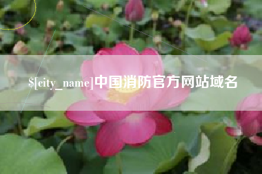 阳谷中国消防官方网站域名