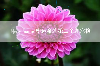 阳谷奥运金牌第二个九宫格