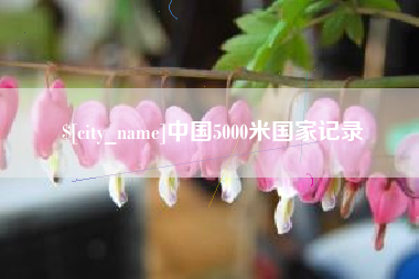 阳谷中国5000米国家记录