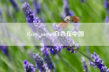 阳谷白色在中国