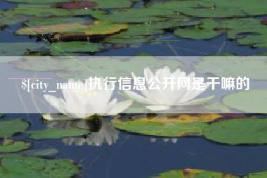 阳谷执行信息公开网是干嘛的