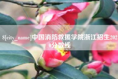 阳谷中国消防救援学院浙江招生2020分数线