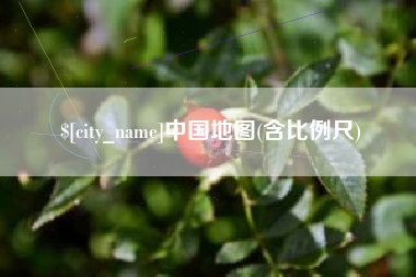 阳谷中国地图(含比例尺)