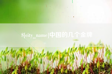 阳谷中国的几个金牌
