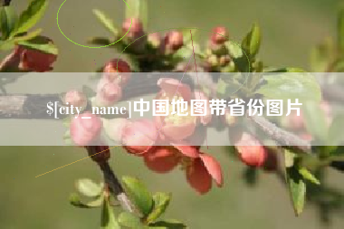 阳谷中国地图带省份图片