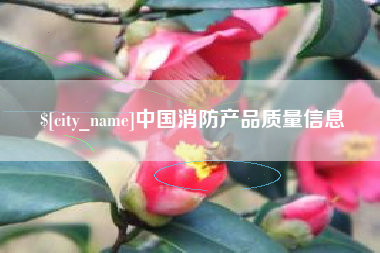 阳谷中国消防产品质量信息