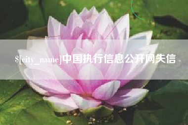 阳谷中国执行信息公开网失信