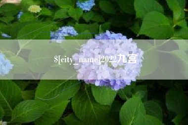 阳谷2022九宫