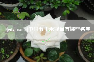 阳谷中国五千米冠军有哪些名字