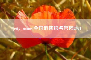 阳谷全国消防报名官网2021