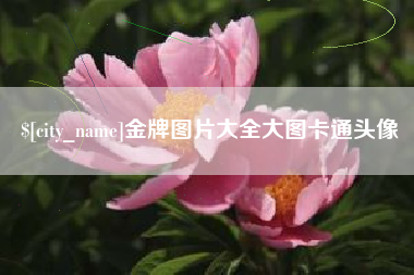 阳谷金牌图片大全大图卡通头像