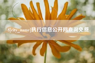 阳谷执行信息公开网查询免费