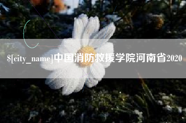 阳谷中国消防救援学院河南省2020