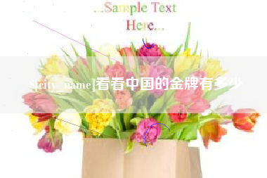 阳谷看看中国的金牌有多少